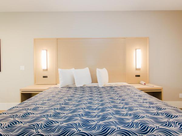 Palace Inn Blue Federal Road : photo 1 de la chambre chambre lit king-size deluxe