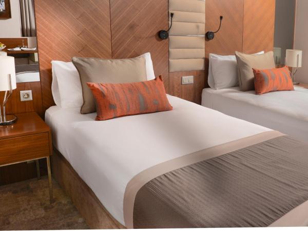 Ankara Alegria Business Hotel : photo 3 de la chambre chambre double Économique