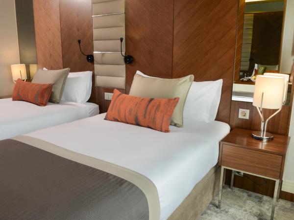 Ankara Alegria Business Hotel : photo 8 de la chambre chambre double Économique