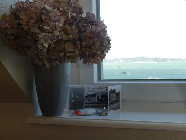 Hôtel Aux Tamaris - Vue Mer : photo 6 de la chambre chambre double confort - vue sur mer - horizon