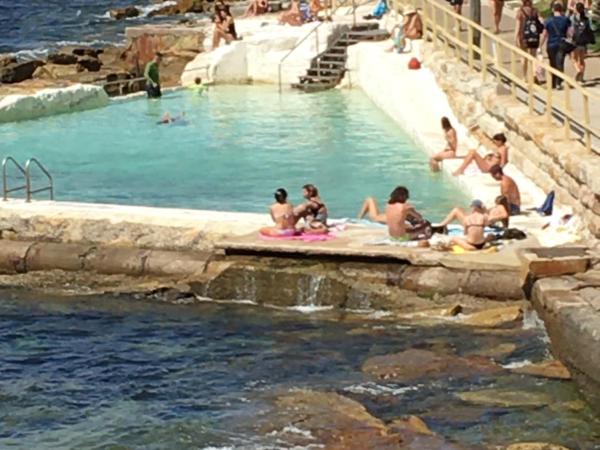 Marine Parade : photo 2 de la chambre studio - vue sur océan