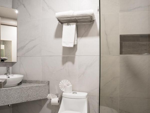 Hotel Roble : photo 1 de la chambre chambre lit king-size