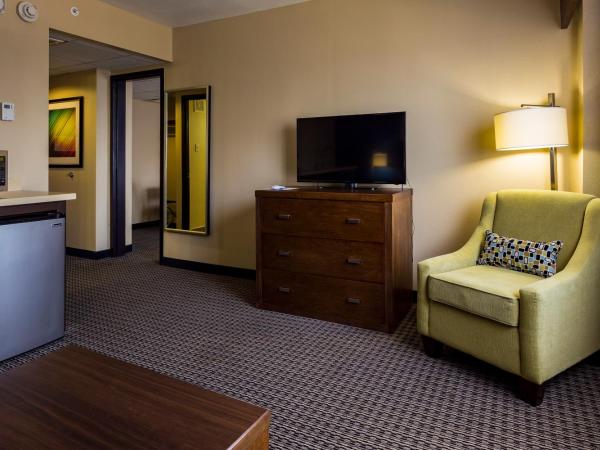 Holiday Inn Houston Downtown, an IHG Hotel : photo 9 de la chambre suite 1 chambre lit king-size
