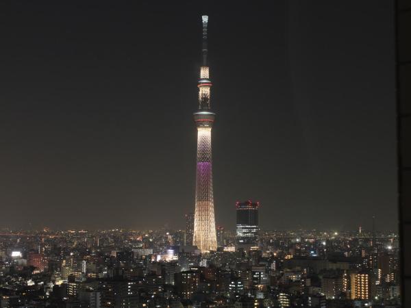 Dai-ichi Hotel Ryogoku : photo 8 de la chambre chambre lits jumeaux modérée - vue au-delà de la cime des arbres de tokyo - fumeurs
