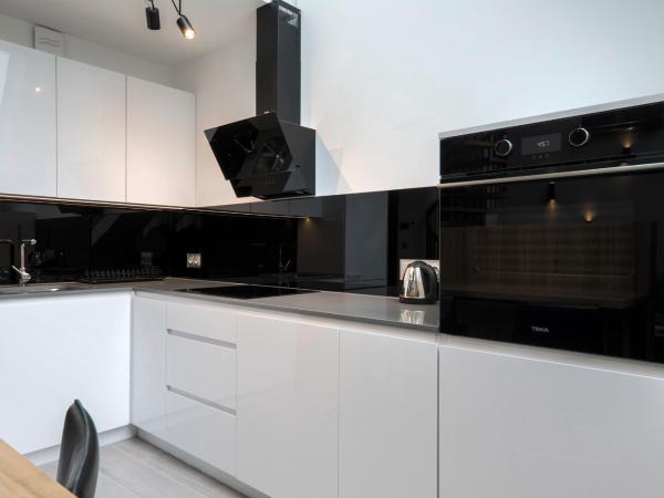 Odrzańska Residence Old Town : photo 7 de la chambre penthouse