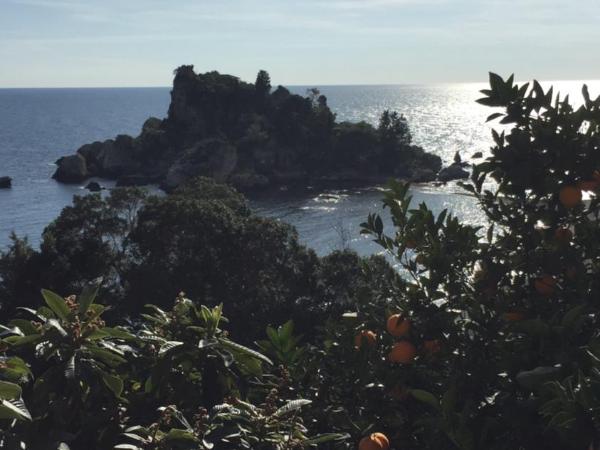 ToviMar Apartments : photo 1 de la chambre appartement 2 chambres avec terrasse