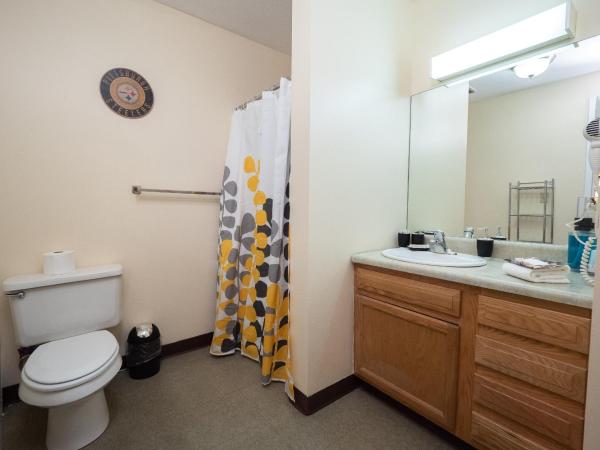 Stay Pittsburgh : photo 2 de la chambre appartement 1 chambre