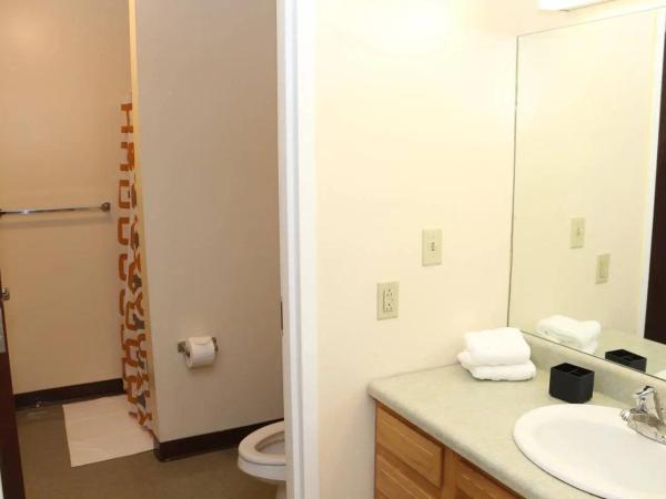 Stay Pittsburgh : photo 4 de la chambre appartement 2 chambres