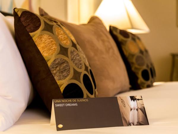 InterContinental Buenos Aires, an IHG Hotel : photo 3 de la chambre chambre classique