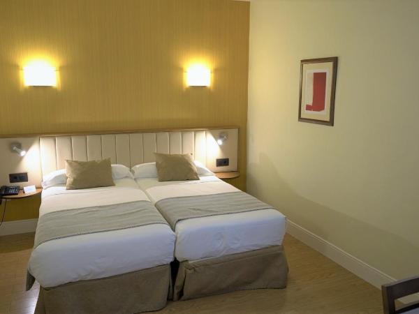 Hospedium Hotel Los Condes : photo 1 de la chambre chambre double ou lits jumeaux