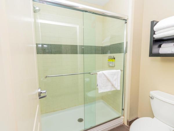 Staybridge Suites Houston - IAH Airport, an IHG Hotel : photo 2 de la chambre suite studio lit queen-size