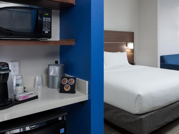 Holiday Inn Express & Suites - Orlando At Seaworld, an IHG Hotel : photo 4 de la chambre chambre lit king-size loisirs - non-fumeurs