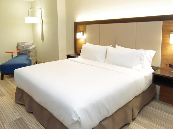 Holiday Inn Express & Suites - Phoenix North - Scottsdale, an IHG Hotel : photo 1 de la chambre chambre standard