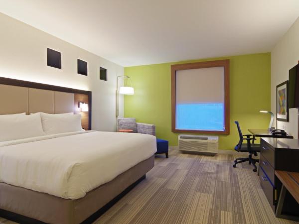 Holiday Inn Express & Suites - Phoenix North - Scottsdale, an IHG Hotel : photo 5 de la chambre chambre lit king-size standard