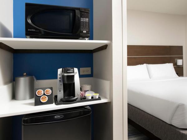 Holiday Inn Express & Suites San Antonio North-Windcrest, an IHG Hotel : photo 3 de la chambre chambre lit king-size standard