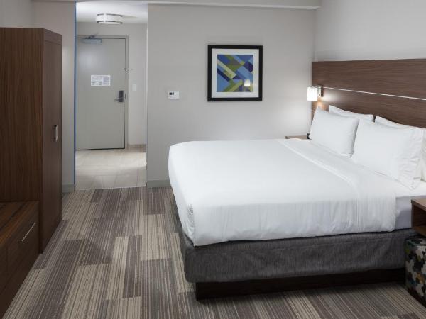 Holiday Inn Express & Suites - Orlando At Seaworld, an IHG Hotel : photo 2 de la chambre chambre lit king-size loisirs - non-fumeurs