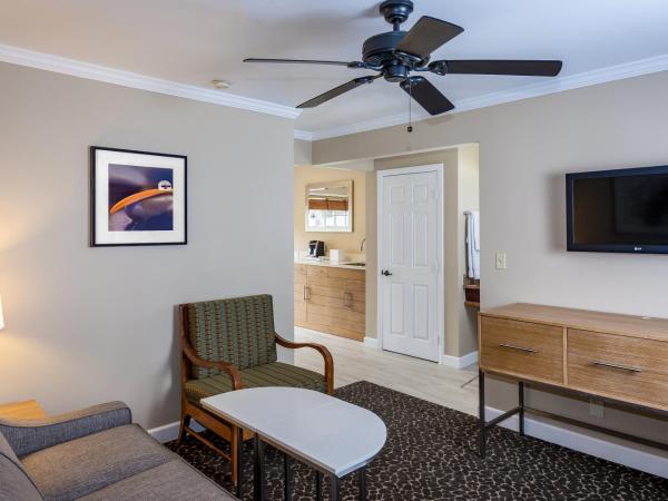 Holiday Inn Express and Suites La Jolla - Windansea Beach, and IHG Hotel : photo 2 de la chambre suite lit king-size avec baignoire spa