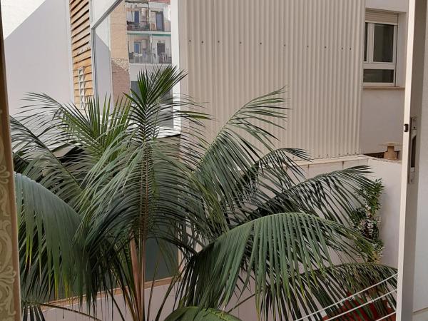 Pensión Guesthouse Antonio : photo 7 de la chambre studio standard