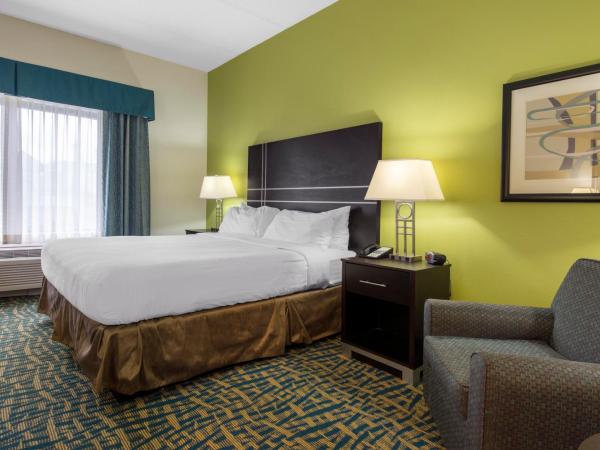 Holiday Inn Savannah South - I-95 Gateway, an IHG Hotel : photo 4 de la chambre chambre lit king-size standard