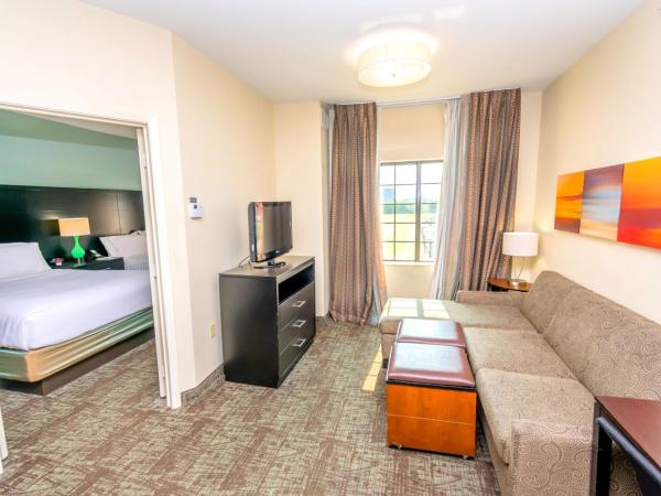 Staybridge Suites Houston - IAH Airport, an IHG Hotel : photo 8 de la chambre suite 1 chambre