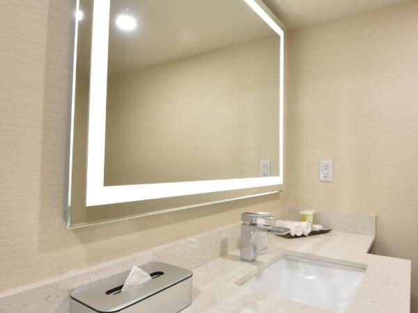 Victoria Inn Hotel and Convention Center Winnipeg : photo 1 de la chambre chambre lit king-size affaires - Étage affaires