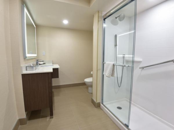 Victoria Inn Hotel and Convention Center Winnipeg : photo 2 de la chambre chambre lit king-size affaires - Étage affaires