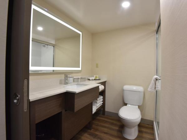 Victoria Inn Hotel and Convention Center Winnipeg : photo 4 de la chambre chambre lit king-size affaires - Étage affaires