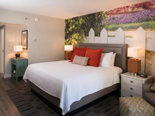 Hotel Indigo Atlanta Vinings, an IHG Hotel : photo 10 de la chambre chambre standard