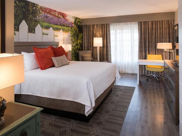 Hotel Indigo Atlanta Vinings, an IHG Hotel : photo 3 de la chambre chambre lit king-size - accessible aux personnes à mobilité réduite