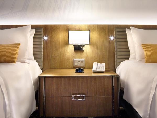 Hotel Indigo Atlanta Downtown, an IHG Hotel : photo 5 de la chambre chambre 2 lits queen-size avec douche accessible en fauteuil roulant - adaptée aux malentendants