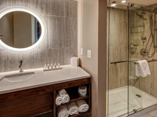 Hotel Indigo - Memphis Downtown, an IHG Hotel : photo 8 de la chambre chambre d'angle lit king-size