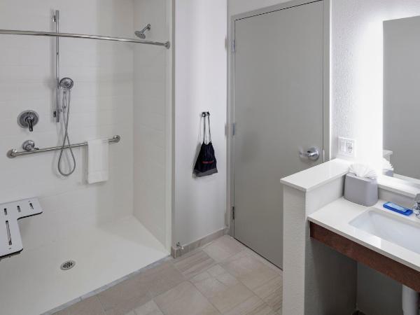Holiday Inn Express & Suites - Orlando At Seaworld, an IHG Hotel : photo 2 de la chambre chambre double pour personnes à mobilité réduite avec douche accessible en fauteuil roulant