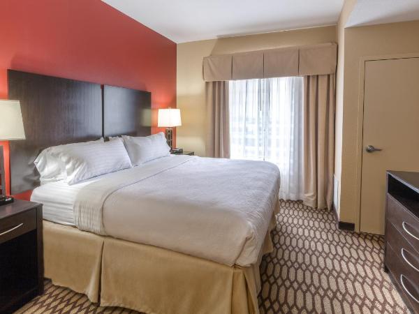 Holiday Inn North Quail Springs, an IHG Hotel : photo 4 de la chambre chambre lit king-size standard