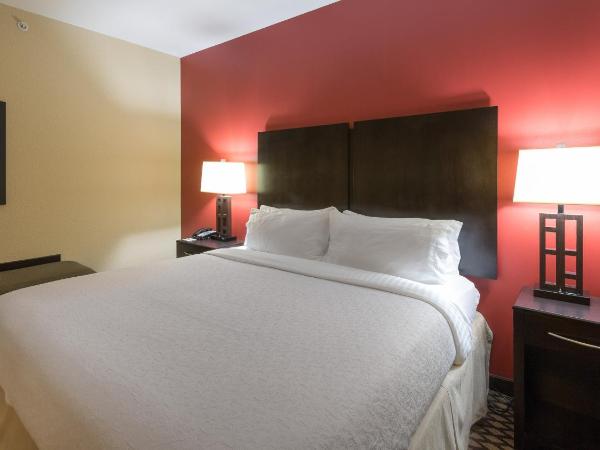 Holiday Inn North Quail Springs, an IHG Hotel : photo 2 de la chambre chambre lit king-size - non-fumeurs