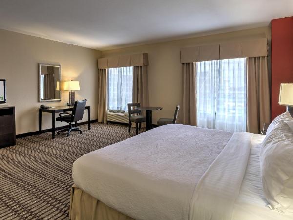 Holiday Inn North Quail Springs, an IHG Hotel : photo 3 de la chambre chambre lit king-size avec baignoire - accessible aux personnes à mobilité réduite/non-fumeurs