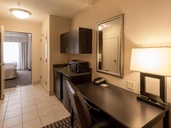 Holiday Inn North Quail Springs, an IHG Hotel : photo 10 de la chambre suite lit king-size