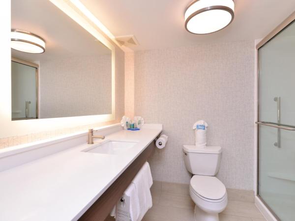 Holiday Inn Express Hotel & Suites Indianapolis Dtn-Conv Ctr, an IHG Hotel : photo 5 de la chambre chambre king standard avec canapé-lit