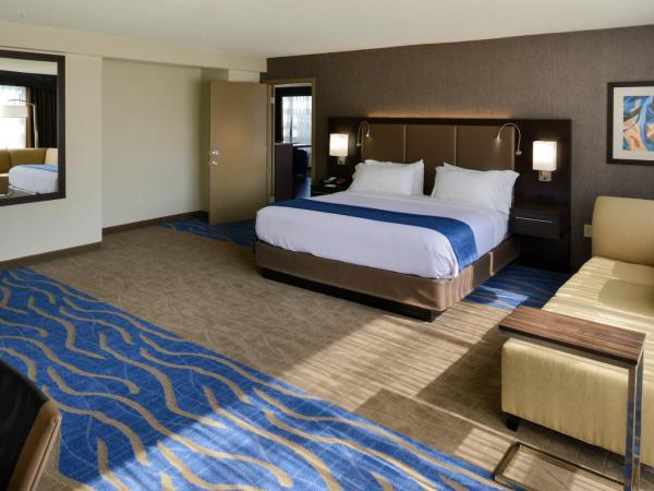 Holiday Inn St Louis Downtown/Convention Center, an IHG Hotel : photo 4 de la chambre suite 1 chambre