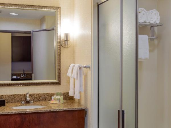 Holiday Inn Oklahoma City Airport, an IHG Hotel : photo 1 de la chambre suite 1 chambre lit king-size