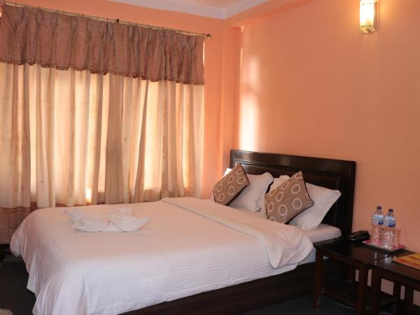 Hotel Hana Pvt.Ltd : photo 1 de la chambre chambre double ou lits jumeaux standard avec ventilateur