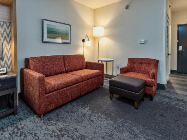 Holiday Inn Hotel & Suites Memphis-Wolfchase Galleria, an IHG Hotel : photo 3 de la chambre chambre lit king-size avec canapé-lit