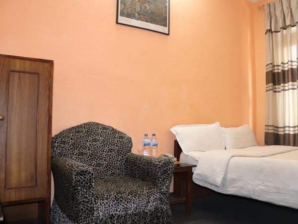 Hotel Hana Pvt.Ltd : photo 2 de la chambre chambre double ou lits jumeaux Économique avec ventilateur