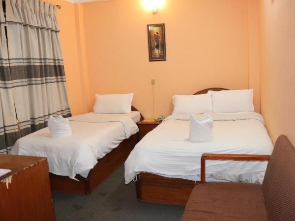 Hotel Hana Pvt.Ltd : photo 1 de la chambre chambre double ou lits jumeaux Économique avec ventilateur