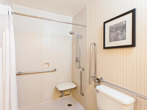 Holiday Inn Sacramento Downtown-Arena, an IHG Hotel : photo 3 de la chambre chambre lit king-size standard avec douche accessible en fauteuil roulant - adaptée aux personnes à mobilité réduite
