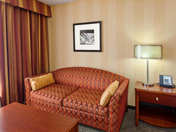 Holiday Inn Sacramento Downtown-Arena, an IHG Hotel : photo 4 de la chambre chambre lit king-size premium avec canapé-lit