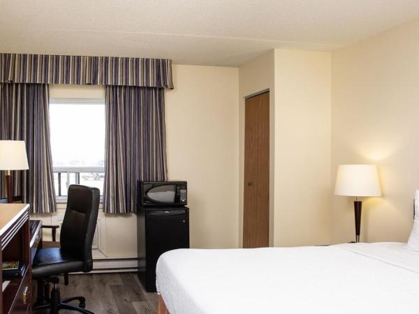 Travelodge by Wyndham Edmonton South : photo 4 de la chambre chambre lit queen-size - non-fumeurs - animaux acceptés