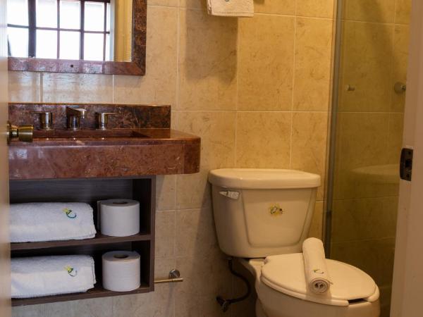 Happy Express Hotel : photo 3 de la chambre suite lit king-size