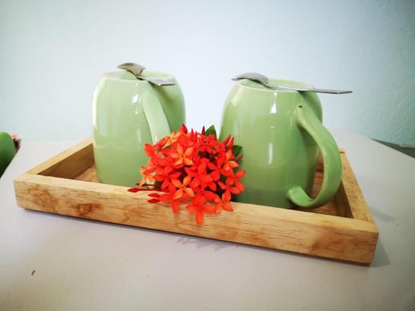 Papaya Cottage Koh Chang : photo 4 de la chambre bungalow supérieur