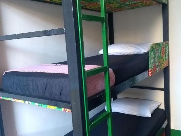 Lapa Casa Hostel : photo 8 de la chambre lit simple dans dortoir à 6 lits