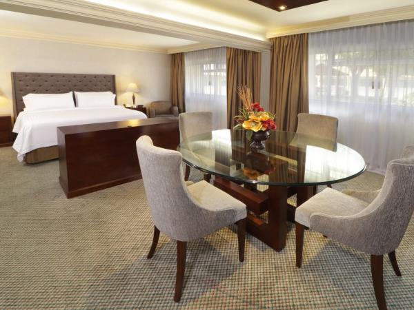 Holiday Inn Monterrey Norte, an IHG Hotel : photo 2 de la chambre suite lit king-size